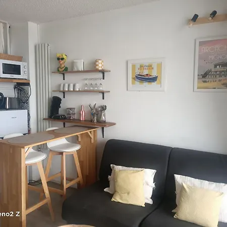 Duplex Vue Et Acces * Arcachon
